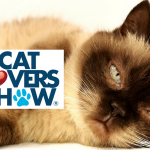 Cat Lovers Show