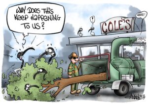 CARTOON: Coles tree service