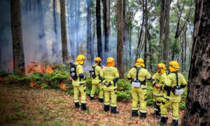 Dandenong Ranges host key fire safety trial