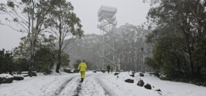 Rain, hail, snow or shine: CFA members train for annual stair climb event