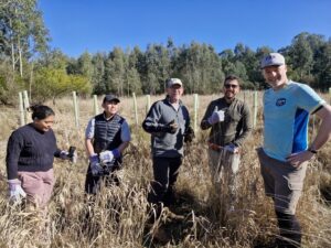 Volunteers sow the seed for future helmeted honeyeater habitats