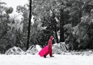 Voting now open for Community Calendar Competition