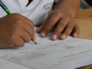 ‘Worrying’ student test results spur fresh funding plea