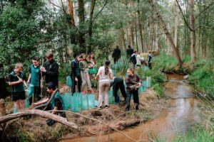 1400 trees planted at Belgrave Heights’ Keen on Green