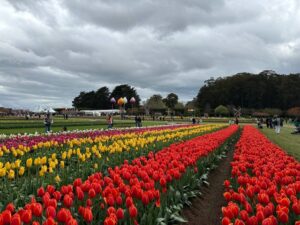 School holiday blooms in Silvan