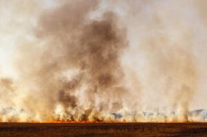 Bushfire on Rosella Rd, Wesburn
