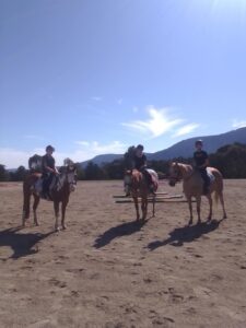 09Horse Talk
