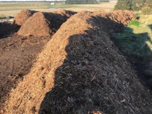 Cypress becomes pricey pine for Lilydale company with an EPA fine