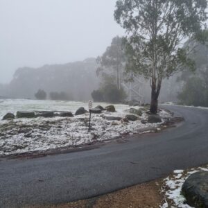 Light drizzle of snow on Mount Donna Buang