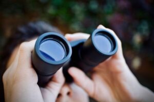 Binoculars handed in to Healesville police