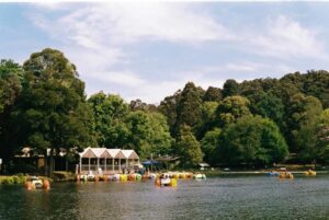 February 2025, farewell to the paddleboats plus summer weather played havoc