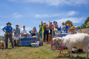 Animal shelter altruism: FFAR comes to the rescue