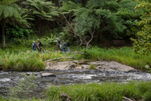 Lost children rescued by SES on Yarra River
