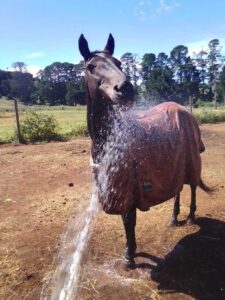 Guidelines for extreme heat