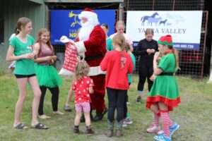 A horsey Christmas wrap-up