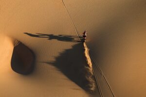 Sanders back on top after stage eight